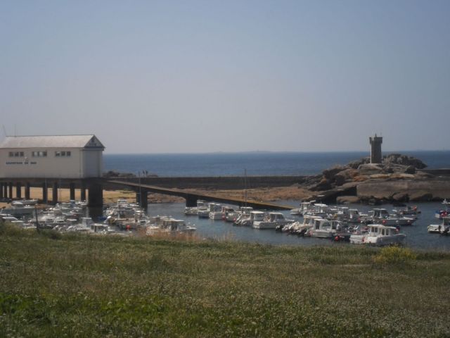 880