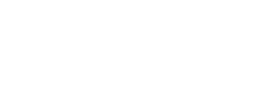 Sterne Voyage
